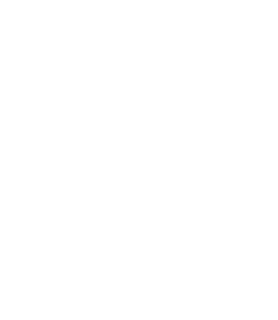 Forma decorativa